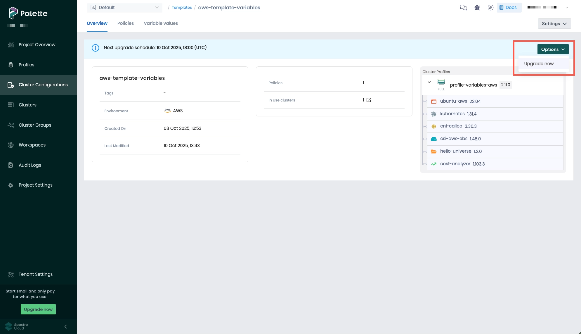 Manually updating clusters attached to a cluster template
