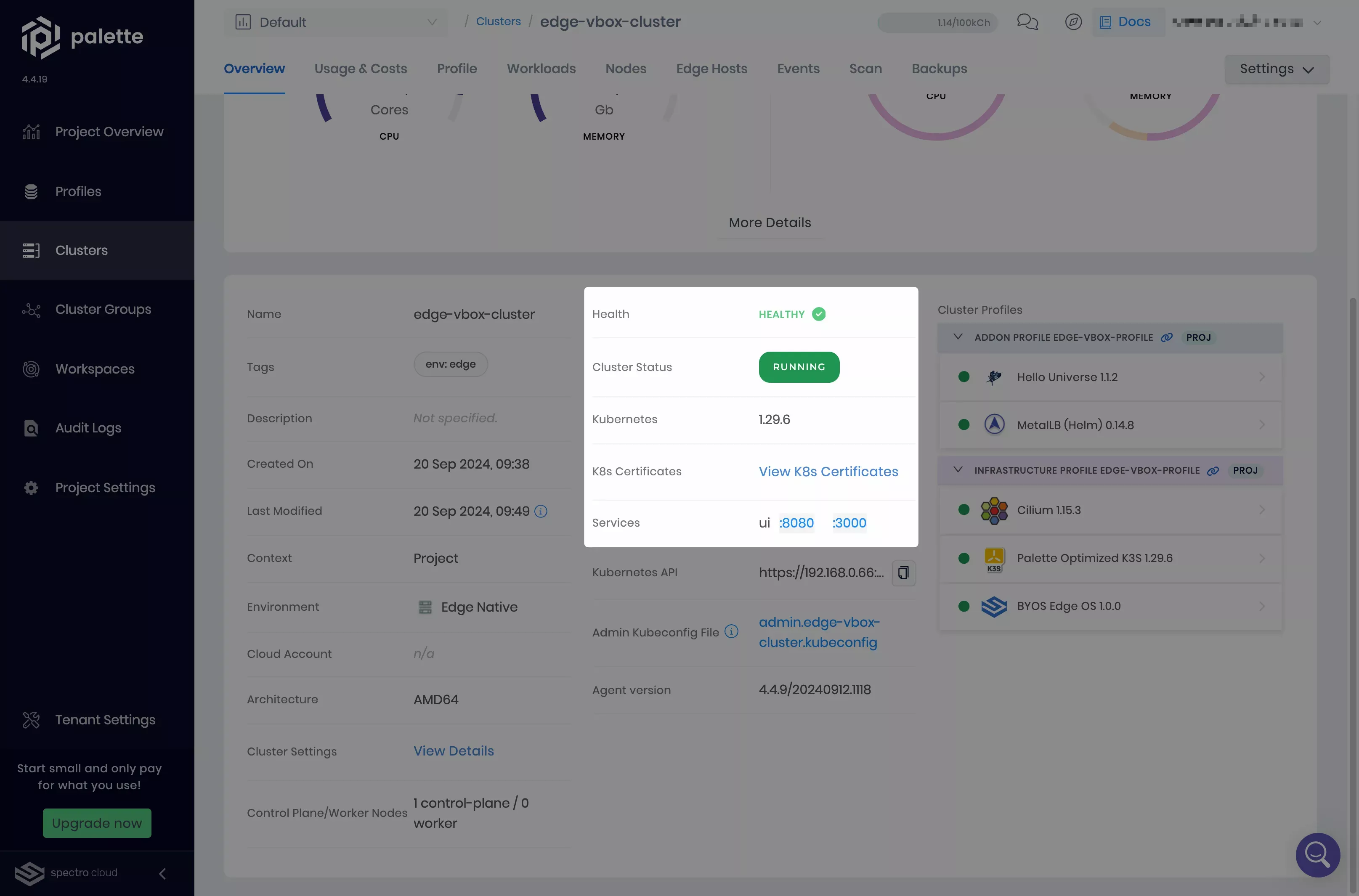 A screenshot of the cluster's Overview tab